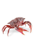 Lladro Crab Sculpture Red