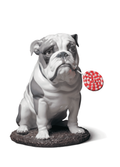 Lladro Bulldog with Lollipop Dog Figurine