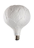 Lladro Oak Bulb UK