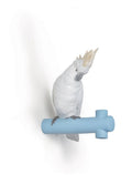Lladro Parrot Hang I Hanger