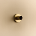 Lochan Wall Light in Brass