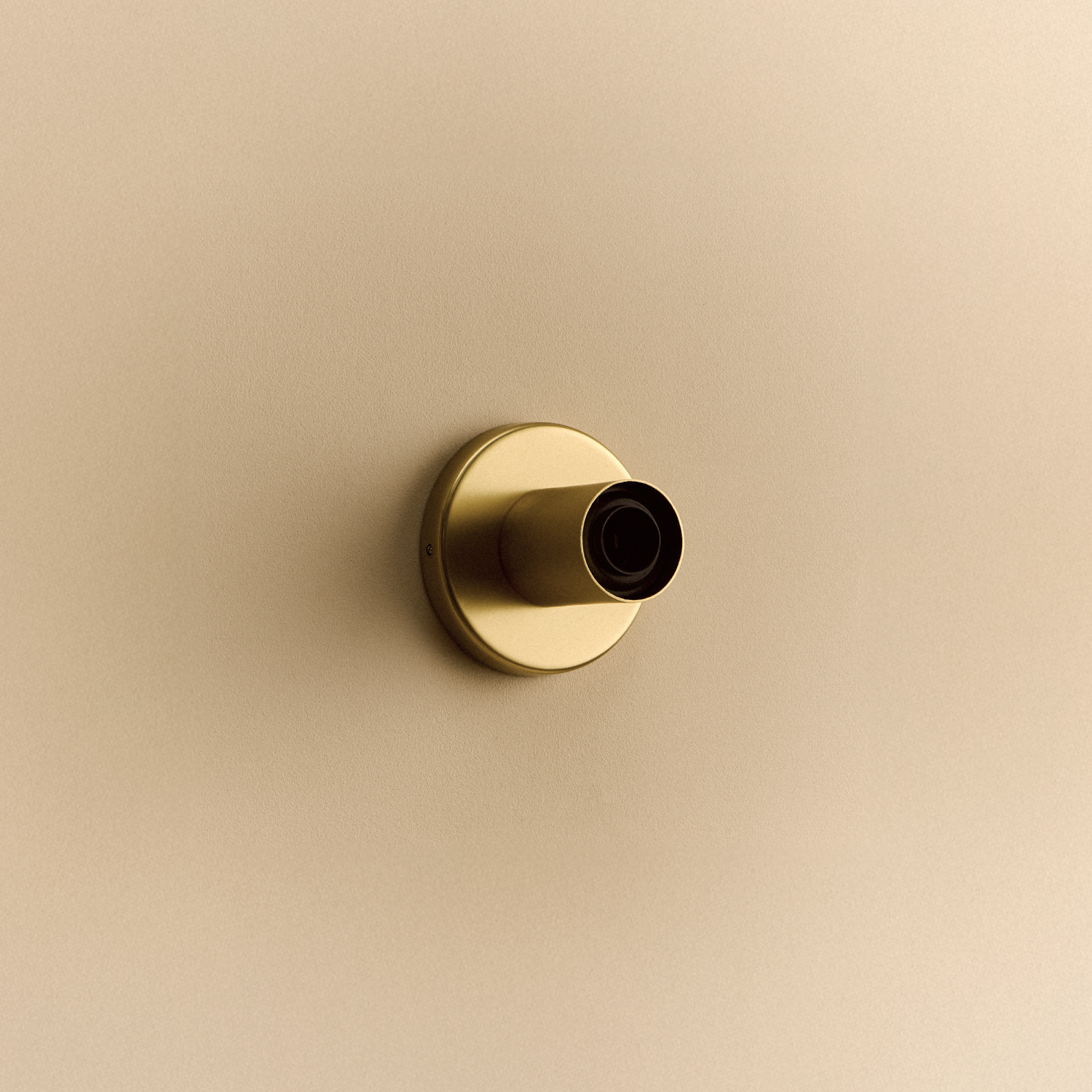 Tala Lochan Wall Light in Brass