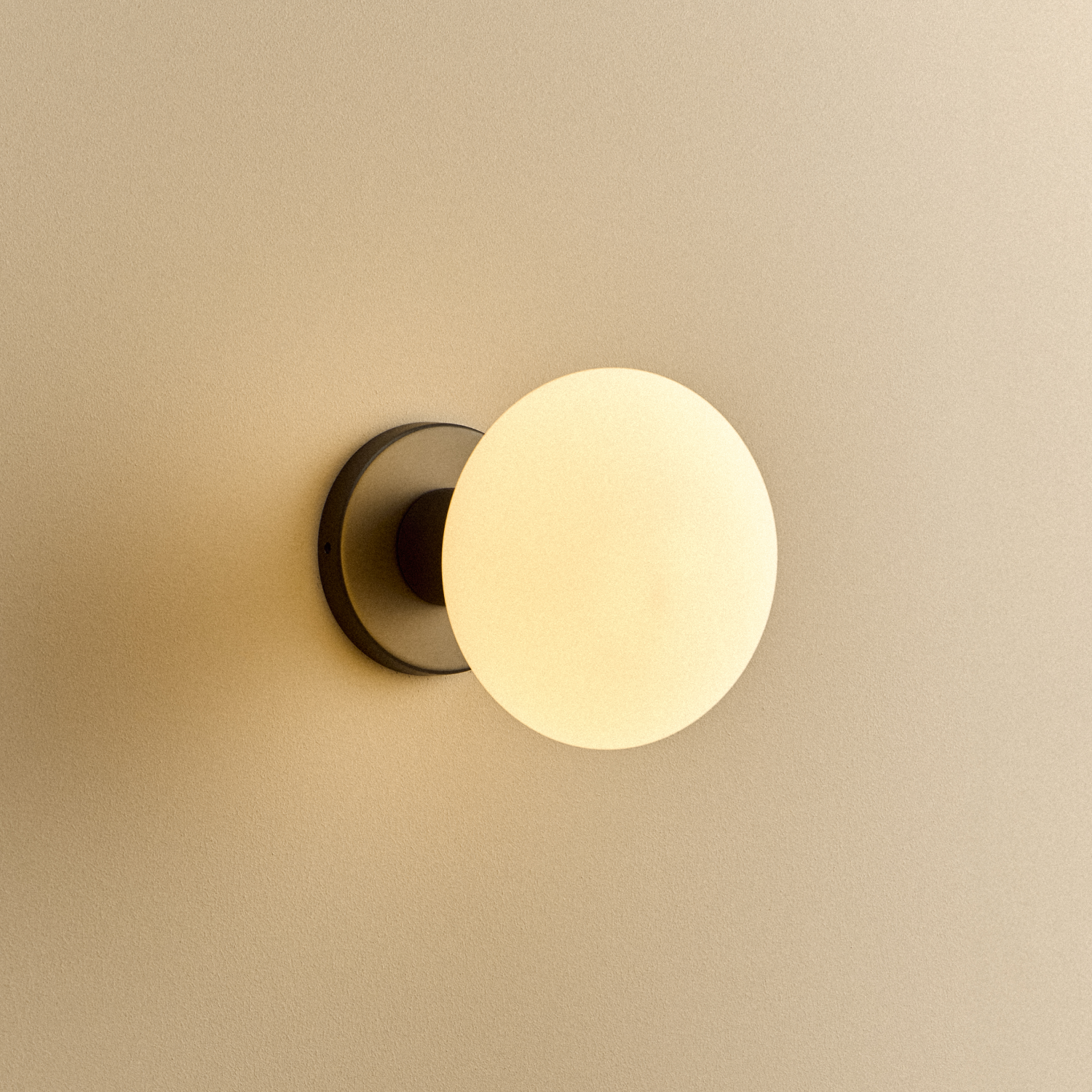 Tala Lochan Wall Light in Graphite + Oval Dim to Warm shown illuminated