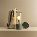 The Muse 1.0 Portable Lamp in Pleasure Garden Green Bundle