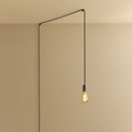 Squirrel Cage Plug-In Pendant in Graphite