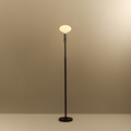 Poise Adjustable Floor Lamp in Graphite + Oval II