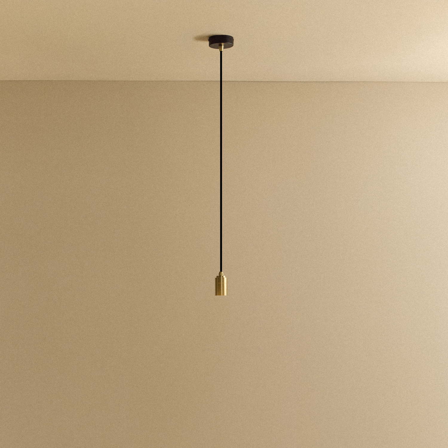 Tala Brass Pendant fixture shown without a bulb