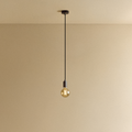 Elva Pendant Light Tinted in Graphite