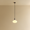 Oval II Pendant Light in Graphite