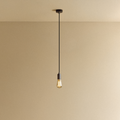 Squirrel Cage Pendant Light in Graphite