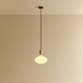 Oval II Pendant Light in Oak
