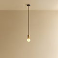 Sphere II Pendant Light in Oak