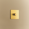 Single Rotary Wall Dimmer in Brass