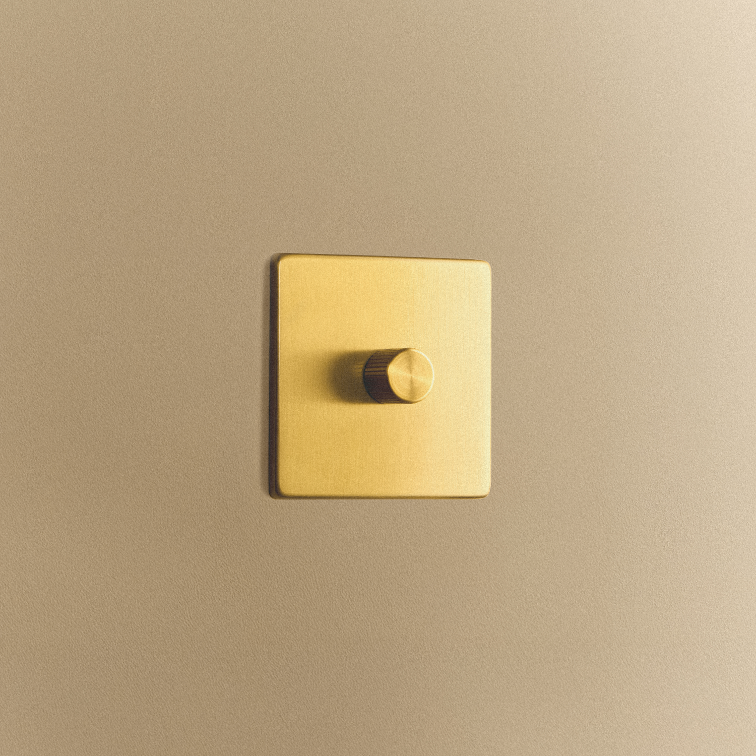 Tala Single Rotary Wall Dimmer in Brass