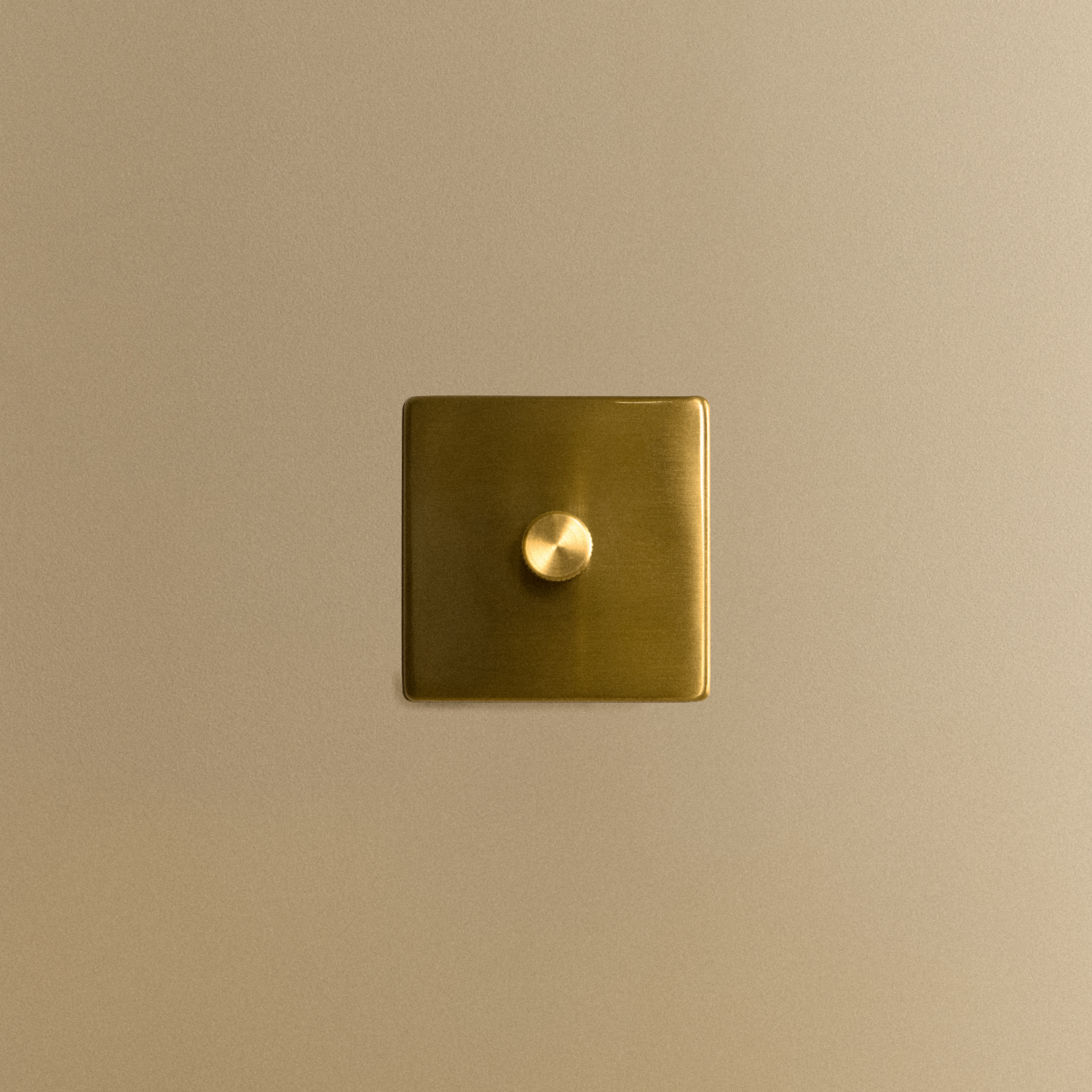 Tala Single Rotary Wall Dimmer in Brass (view 2)