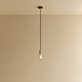 Squirrel Cage Pendant Light in Brass