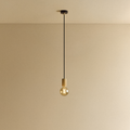 Elva Pendant Light Tinted in Oak