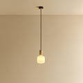 Oblo Pendant Light in Oak