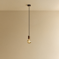 Elva Pendant Light Tinted in Walnut