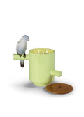 Lladro Parrots Scented Treasure On the Prairie Scent Green