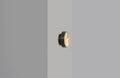 CTO Lighting Anvers Rose Small Wall Light – DALI-A