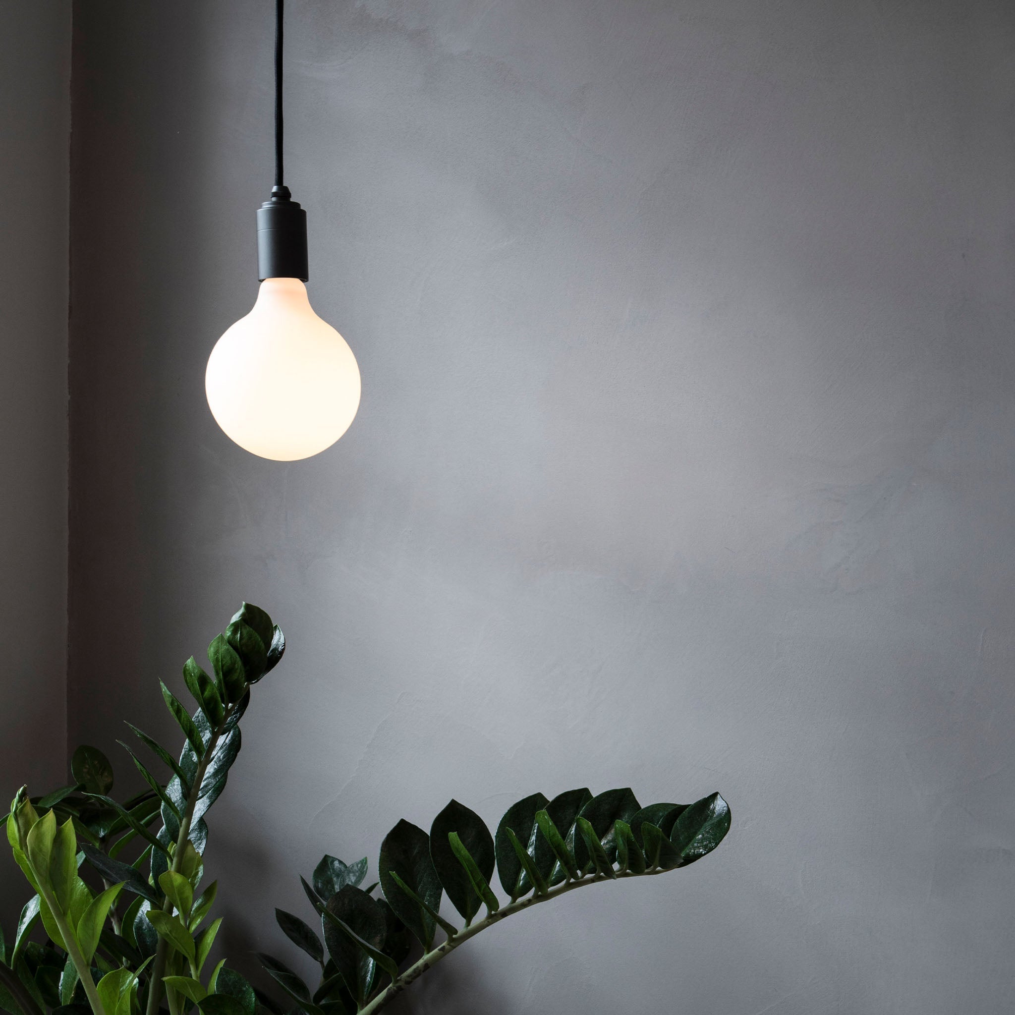 Tala Graphite Pendant in a styled interior setting