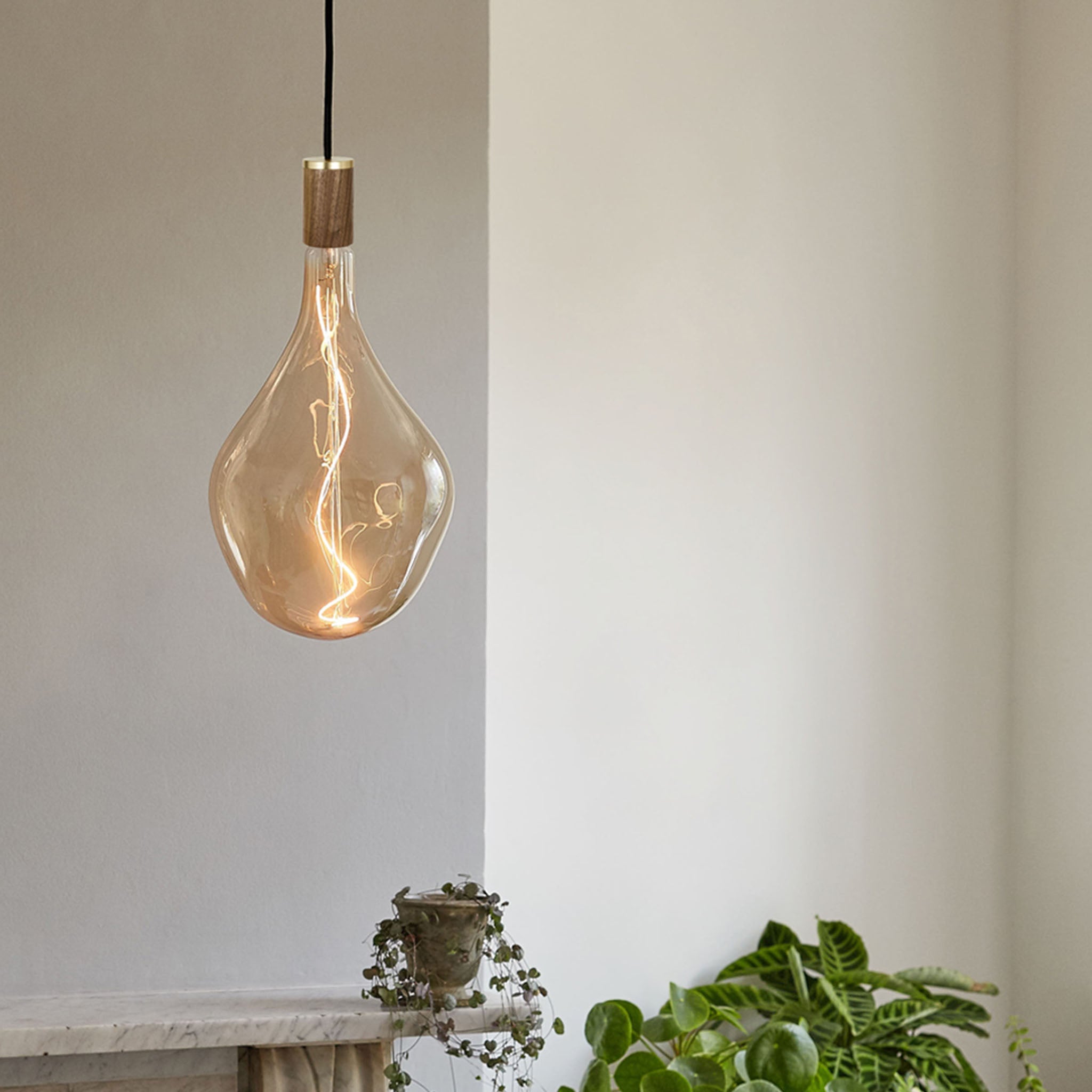 Tala Voronoi III Pendant Light in Walnut